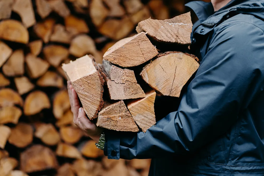 Person carrying stacked firewood logs.
