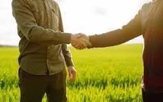 Two people shaking hands in field.