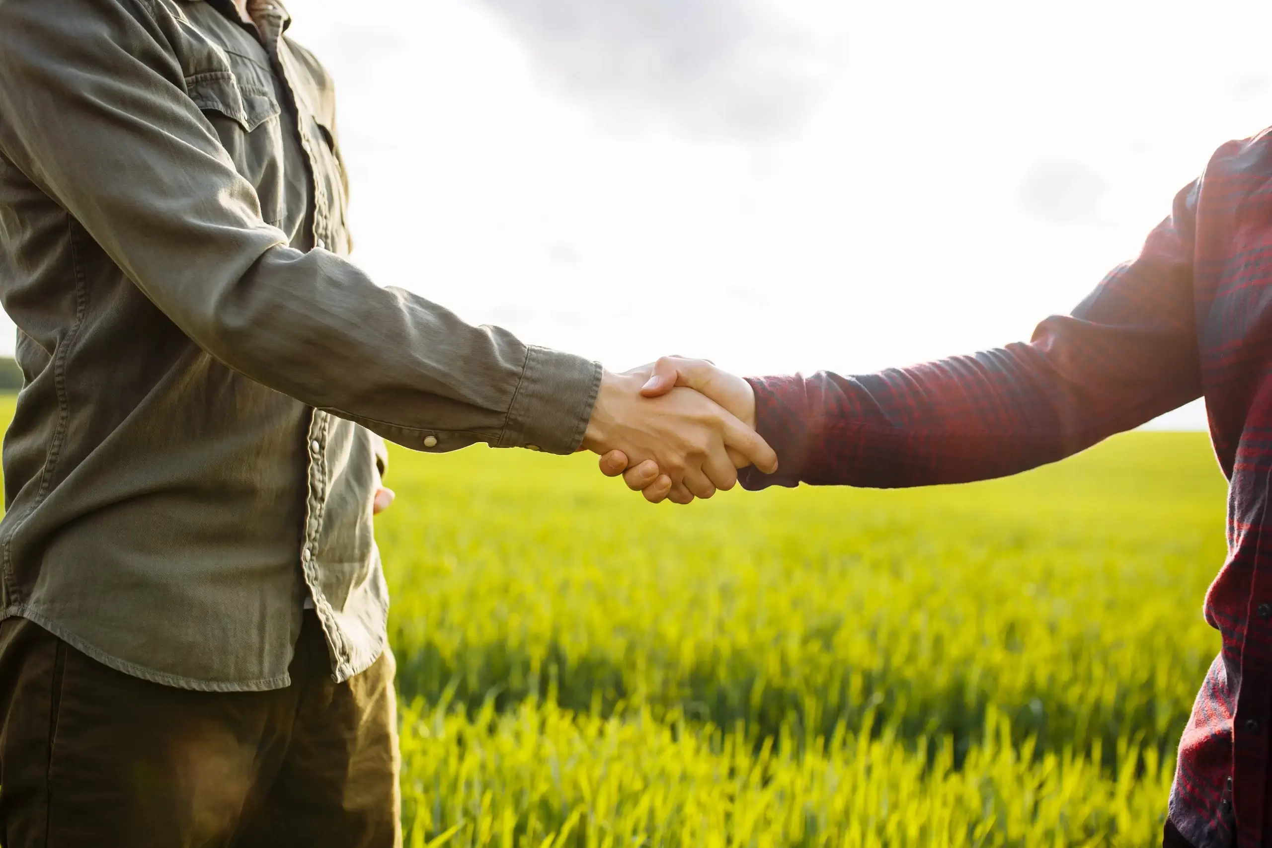 Handshake in sunlit green agricultural field