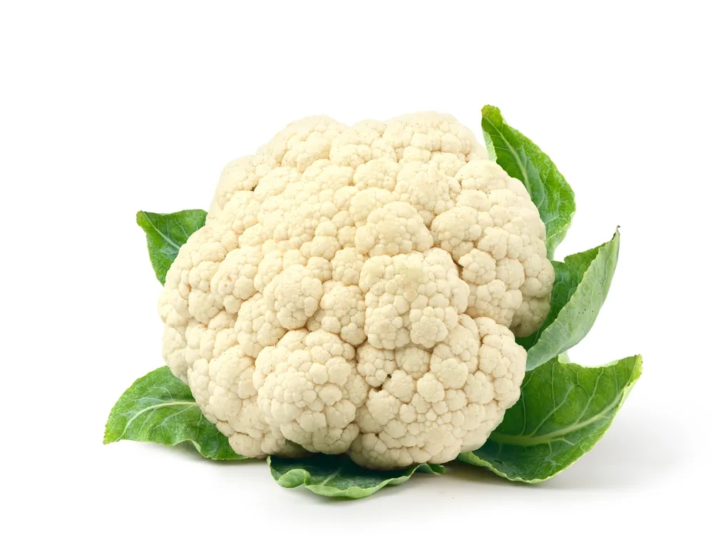 Cauliflower with green leaves on white background.