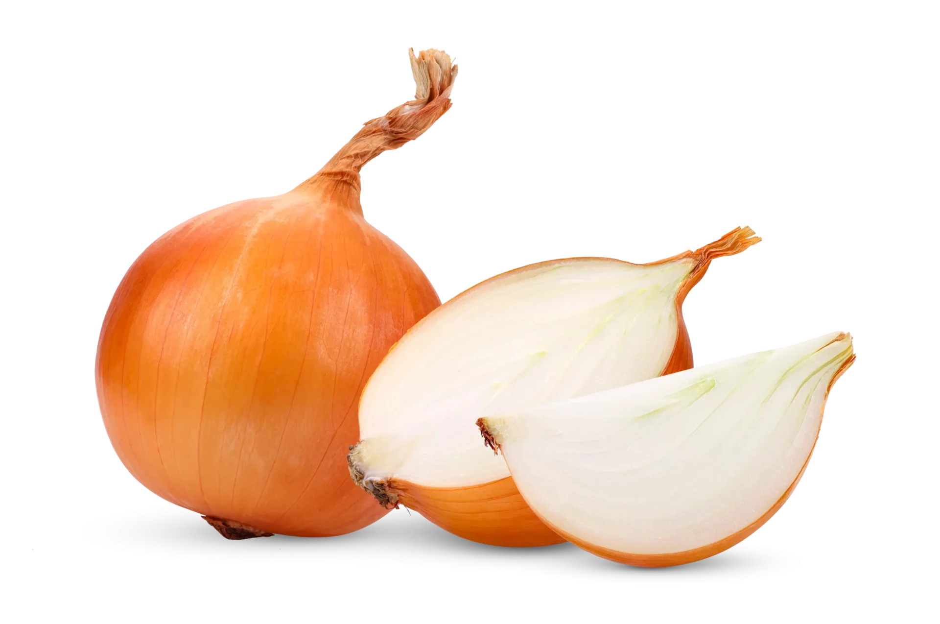 Whole and sliced onion on black background.