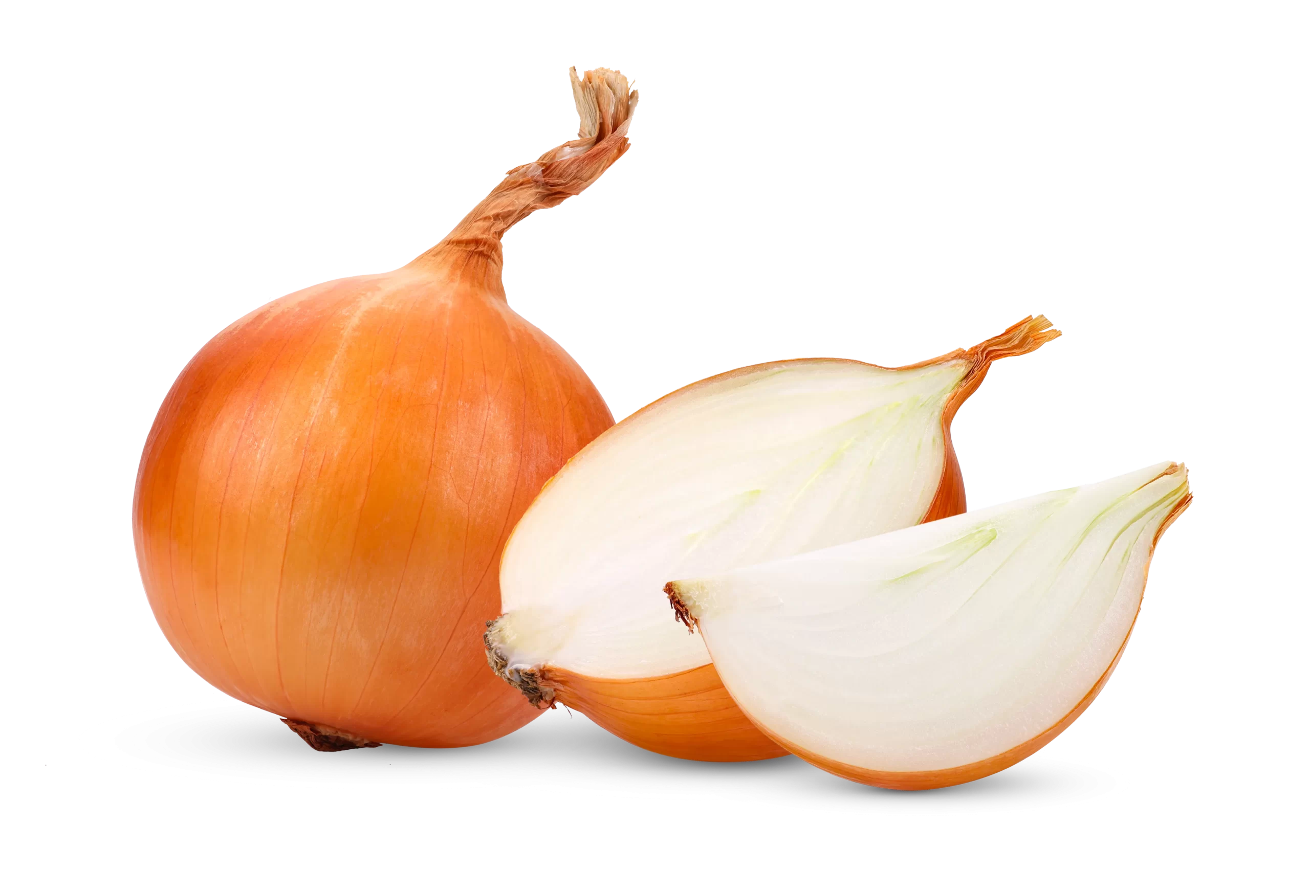 Whole and sliced onion on black background.