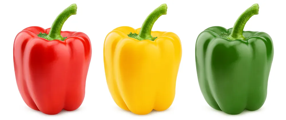 Red, yellow, green bell peppers on white.