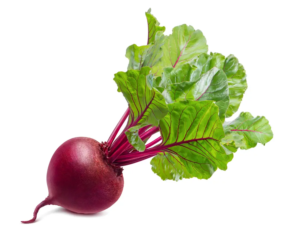 Fresh beetroot with vibrant green leaves